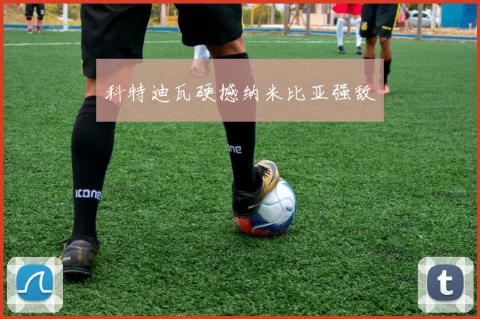 科特迪瓦硬撼纳米比亚强敌