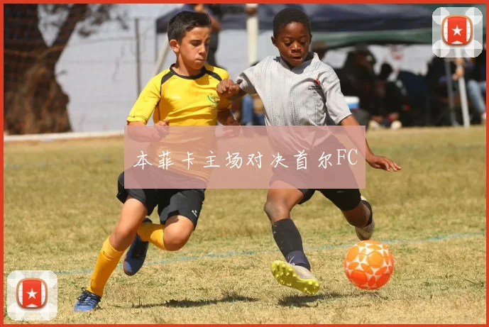 本菲卡主场对决首尔FC