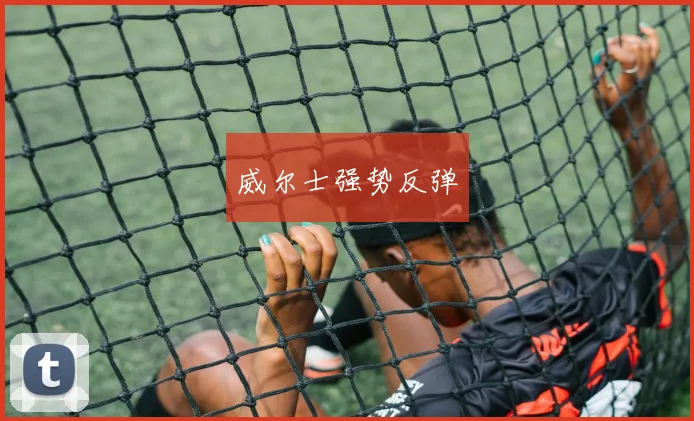 威尔士强势反弹