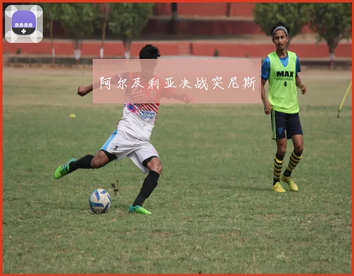 阿尔及利亚决战突尼斯