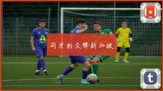 匈牙利交锋新加坡