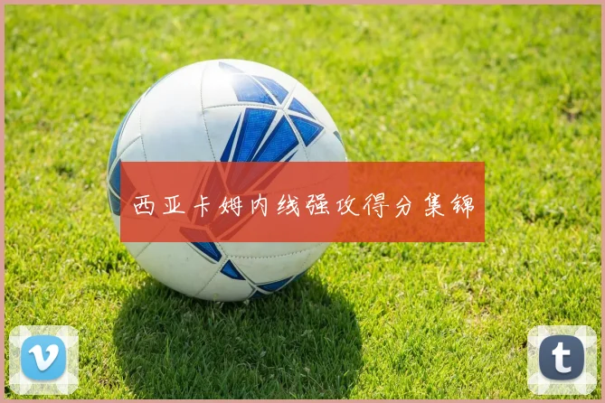 西亚卡姆内线强攻得分集锦