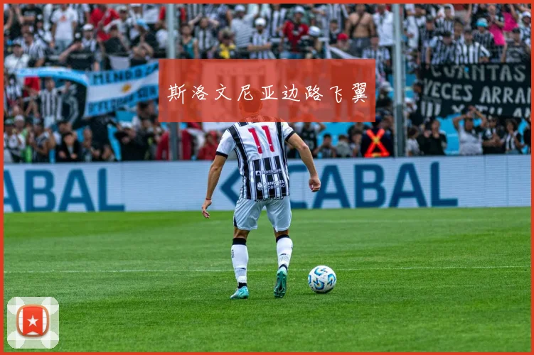 斯洛文尼亚边路飞翼