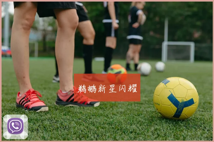 鹈鹕新星闪耀