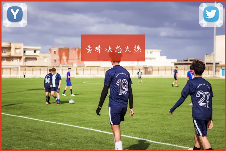 黄蜂状态火热