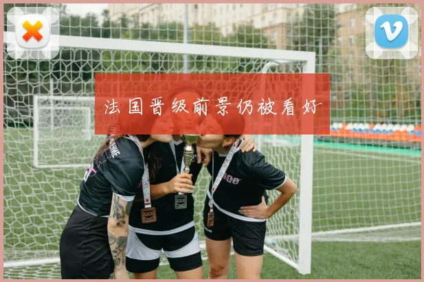 法国晋级前景仍被看好