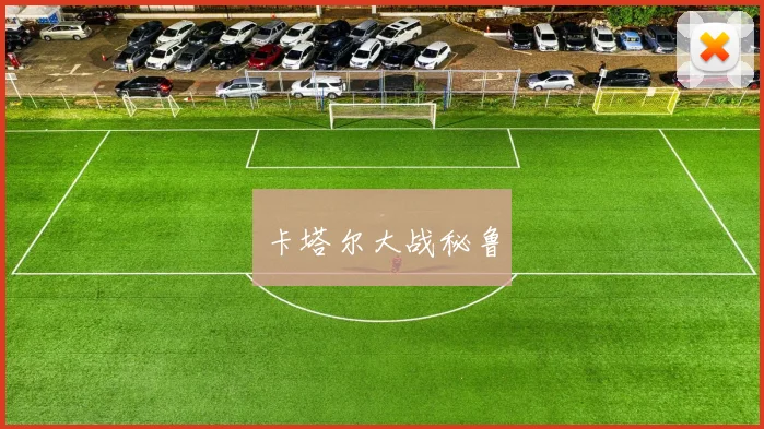 卡塔尔大战秘鲁