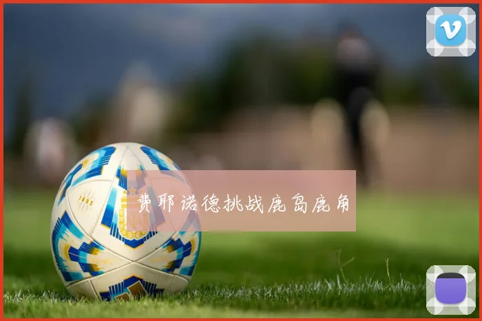 费耶诺德挑战鹿岛鹿角