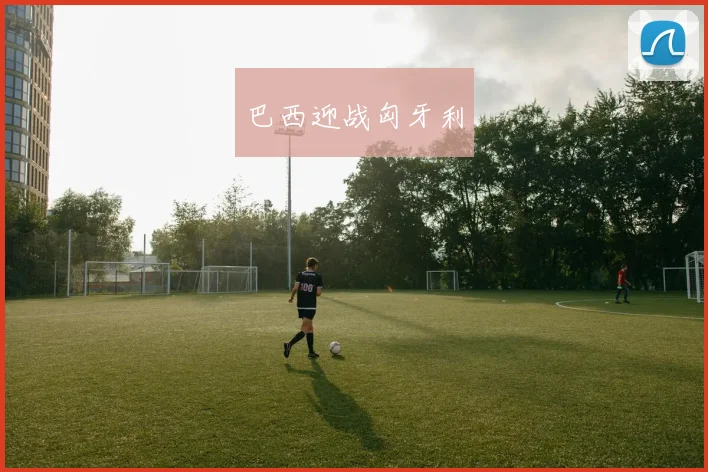 巴西迎战匈牙利