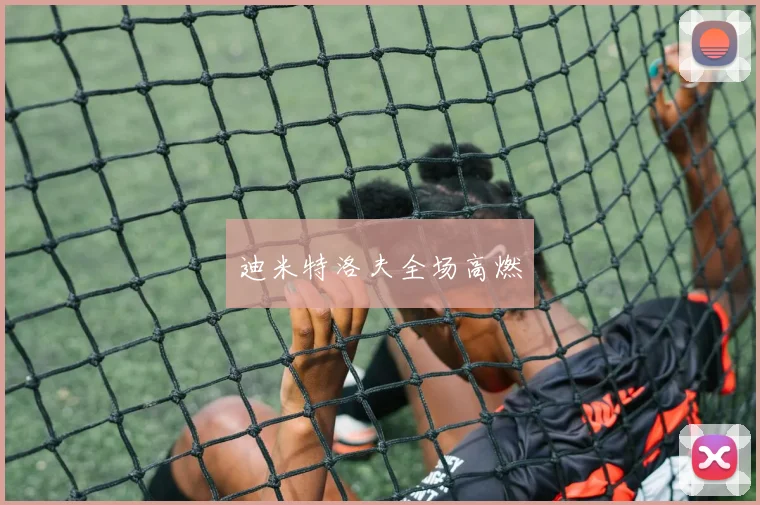 迪米特洛夫全场高燃