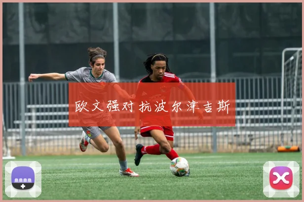 欧文强对抗波尔津吉斯