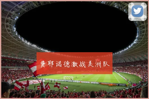 费耶诺德激战美洲队