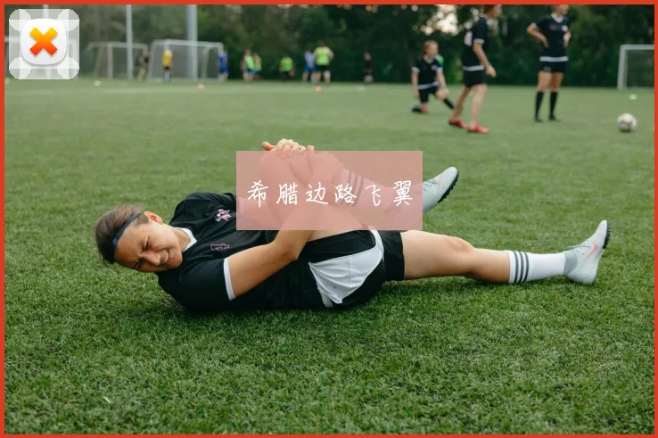 希腊边路飞翼
