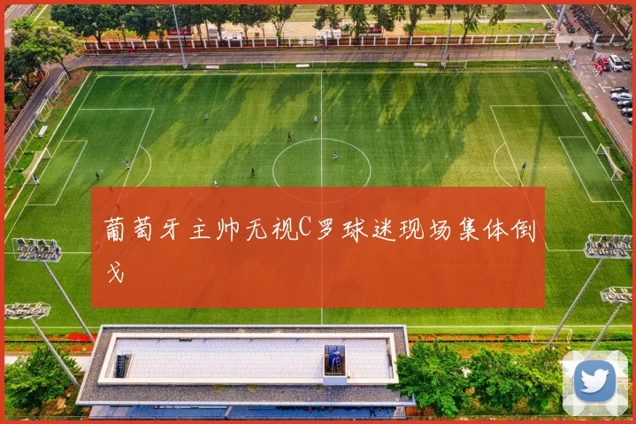 葡萄牙主帅无视C罗球迷现场集体倒戈