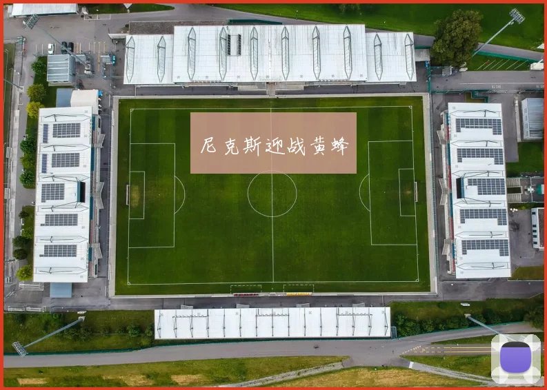 尼克斯迎战黄蜂