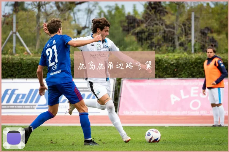 鹿岛鹿角边路飞翼