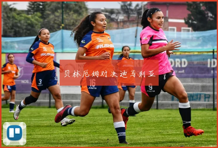 贝林厄姆对决迪马利亚