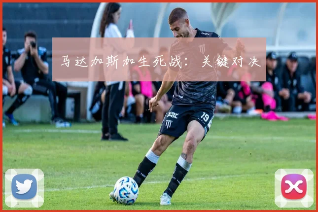 马达加斯加生死战：关键对决