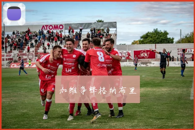 加维争锋格纳布里