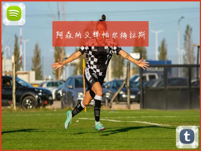 阿森纳交锋帕尔梅拉斯