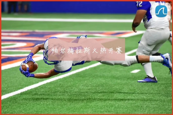 帕尔梅拉斯火热开赛