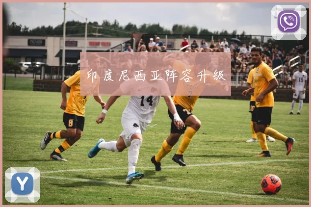 印度尼西亚阵容升级