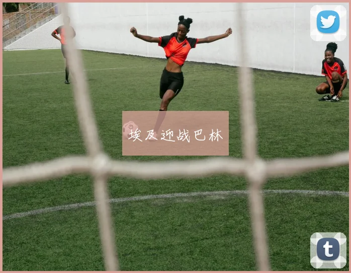 埃及迎战巴林