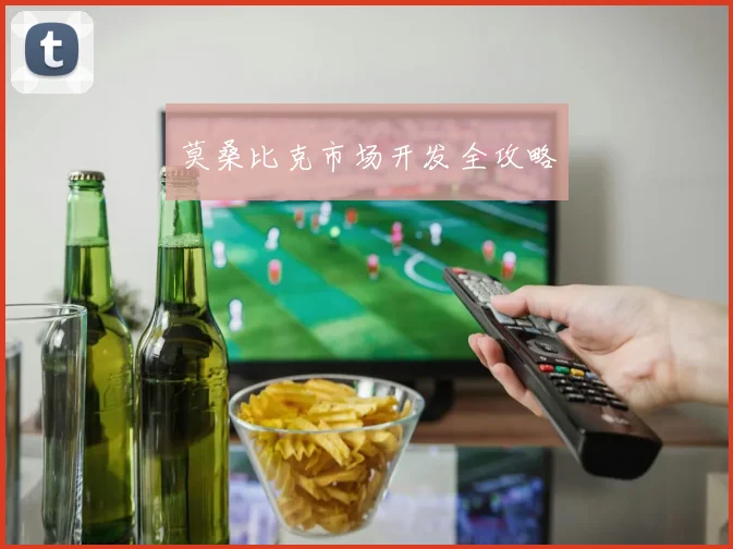 莫桑比克市场开发全攻略