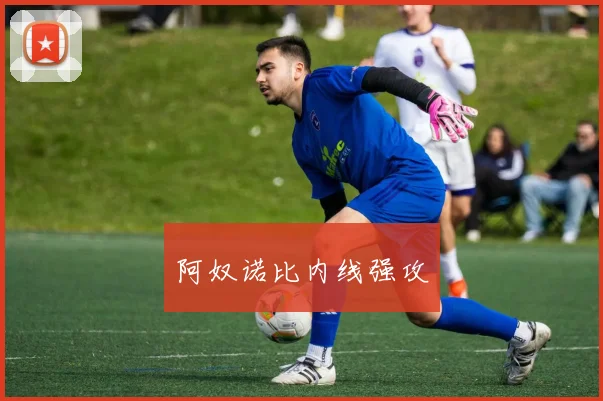 阿奴诺比内线强攻