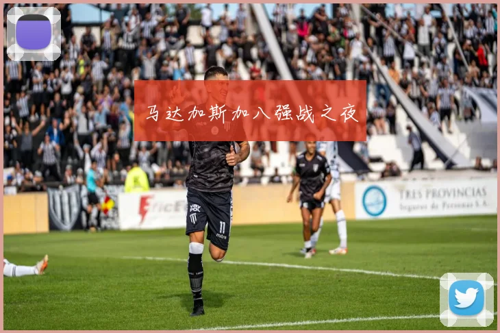 马达加斯加八强战之夜