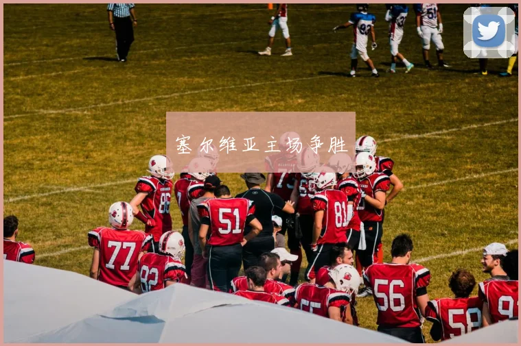 塞尔维亚主场争胜