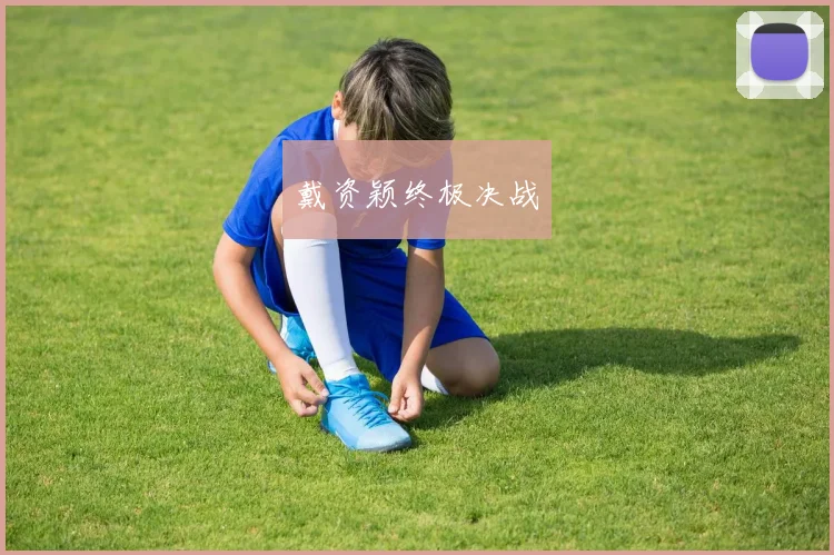 戴资颖终极决战