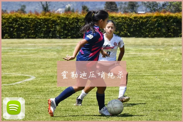 霍勒迪压哨绝杀
