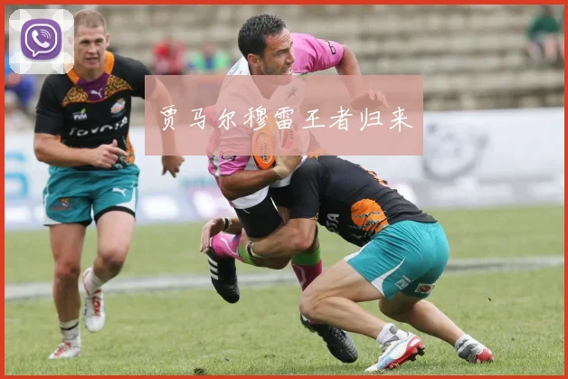 贾马尔穆雷王者归来