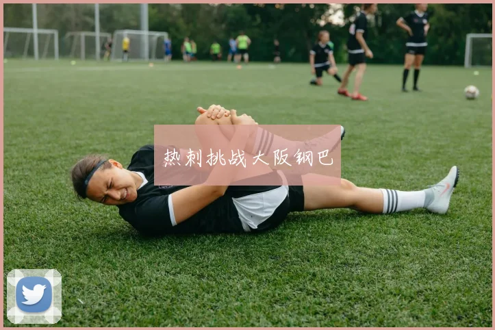 热刺挑战大阪钢巴