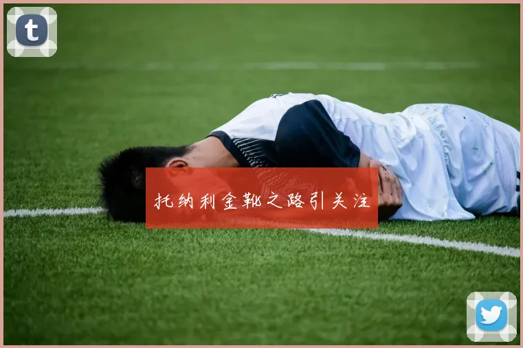 托纳利金靴之路引关注