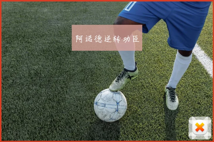 阿诺德逆转功臣