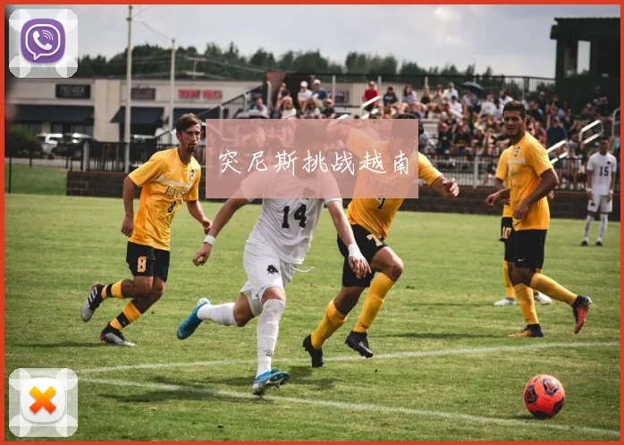 突尼斯挑战越南
