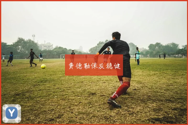 费德勒保发稳健