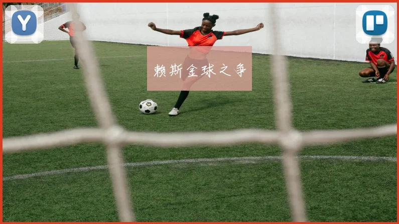 赖斯金球之争