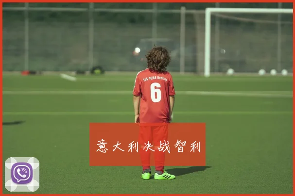意大利决战智利