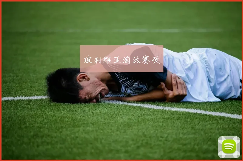 玻利维亚淘汰赛夜