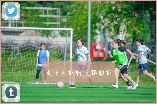 麦卡利斯特交锋赖斯