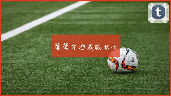 葡萄牙迎战威尔士