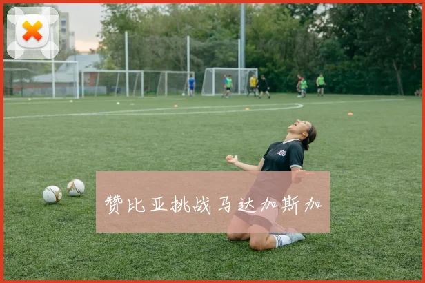赞比亚挑战马达加斯加