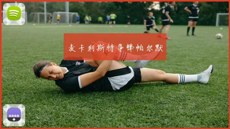 麦卡利斯特争锋帕尔默
