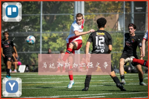 马达加斯加四强之争