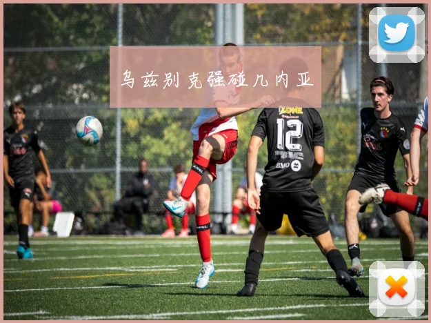 乌兹别克强碰几内亚