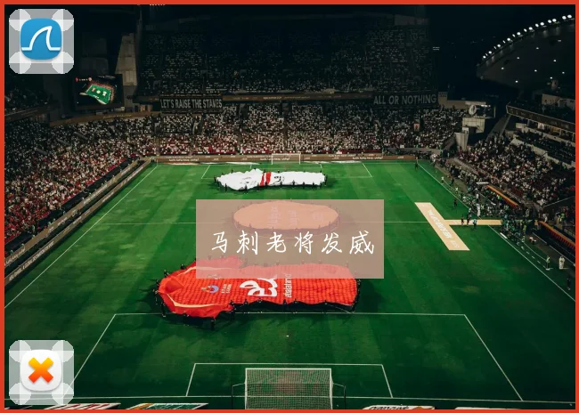 马刺老将发威