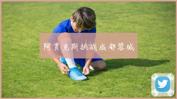 阿贾克斯挑战成都蓉城